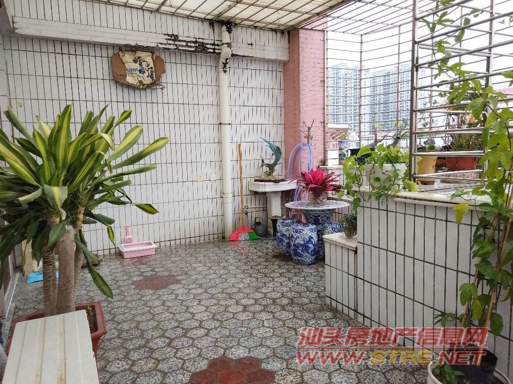 锦泰花园中区 7. 20211021 (7/10) 汕头房产网二手房